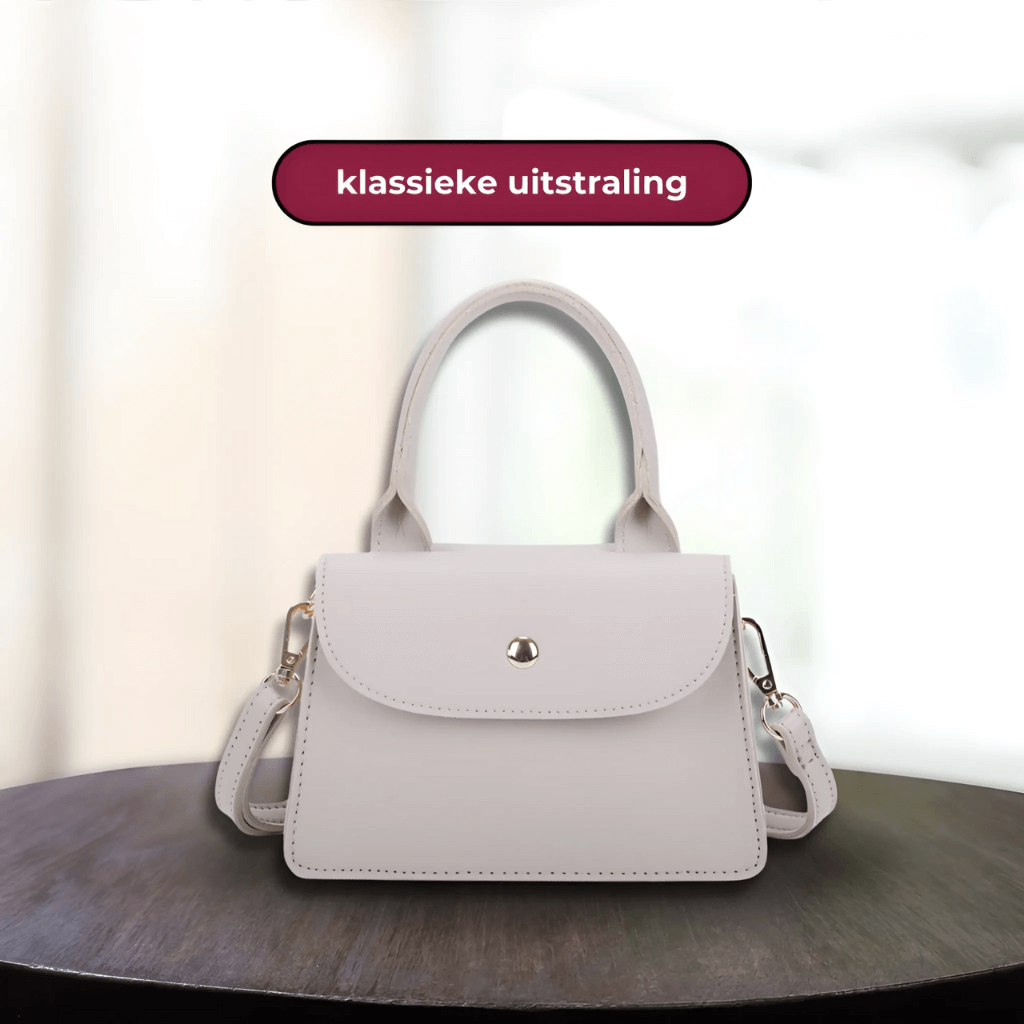 Bolso mujer | mini estructurado con solapa y cierre frontal