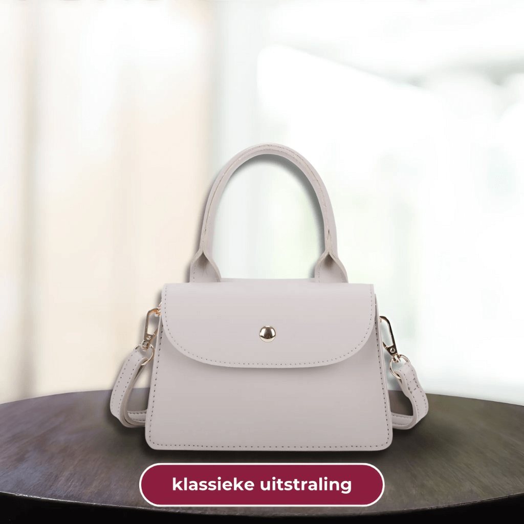 Bolso mujer | mini estructurado con solapa y cierre frontal